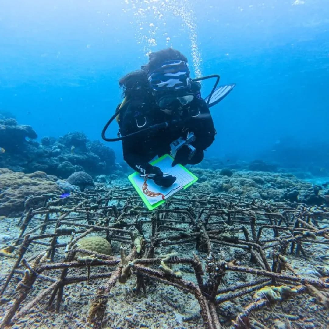 Marine Conservation Team